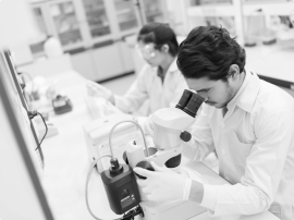 scientists